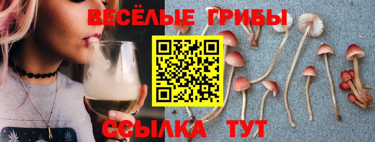 Осинники  Псилоцибиновые грибы GOLDEN TEACHER  наркошоп  Вход с VPN 