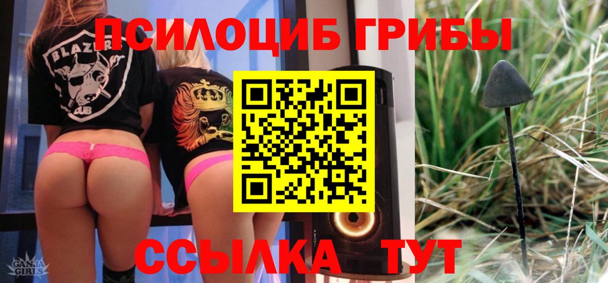 Галлюциногенные грибы MAGIC MUSHROOMS Осинники